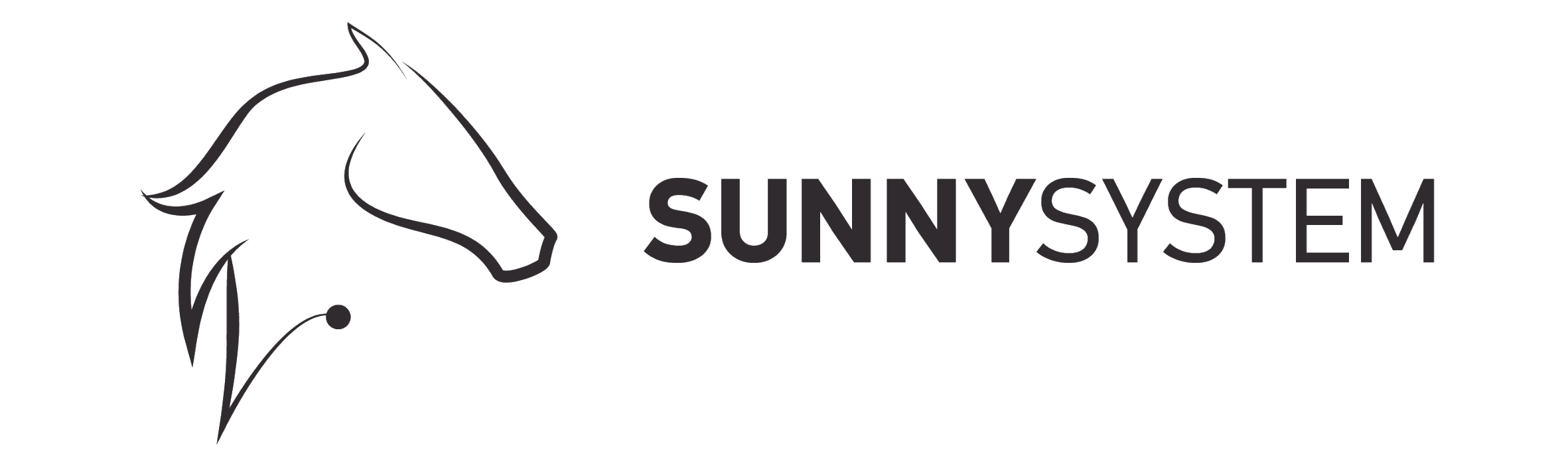 Immagine illustrativa Sunny System